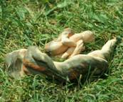 terra cotta reclined pair