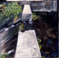 broken dam and waterfall at Priester's Pond, MV Land Bank property, tiny blue dragonfly in foreground