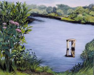 remains of dock reflecting in Priester's Pond, milkweed blooms in foreground